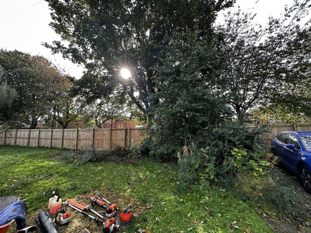 /images/services/landscaping45.jpeg