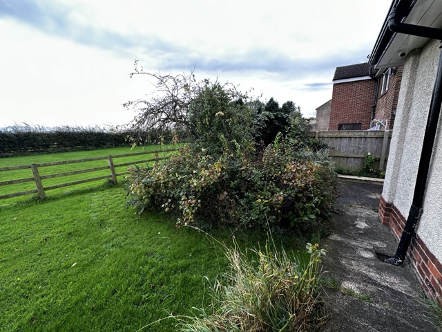 /images/services/landscaping52.jpeg